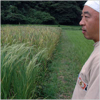古代米種籾・古代米籾種の古代米.net