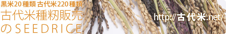 黒米や赤米など玄米卸販売等の古代米なら古代米.net