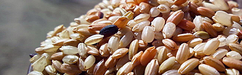 古代米 黒米や赤米など玄米卸販売の古代米.net